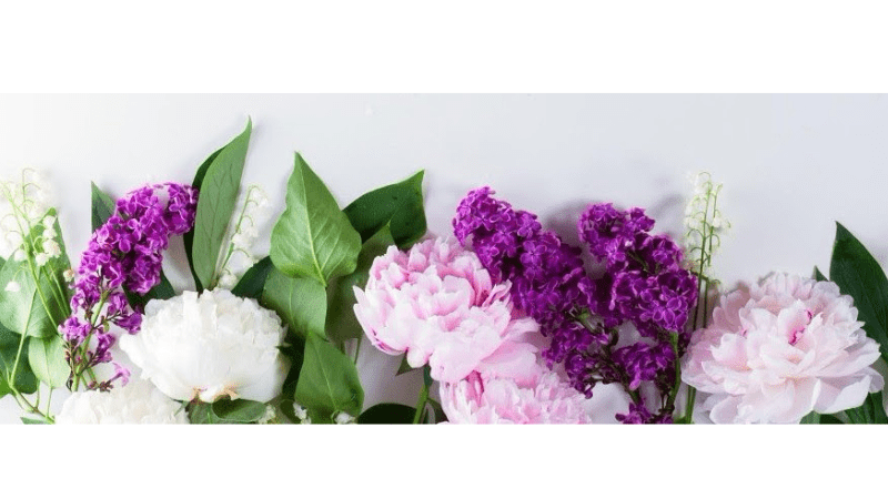 Floriculture industry members can help FMF study