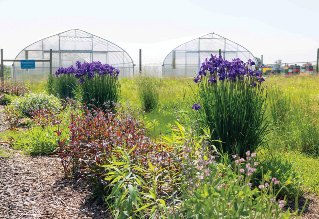 Forty Under 40 Perspectives: Horticulture for well-being