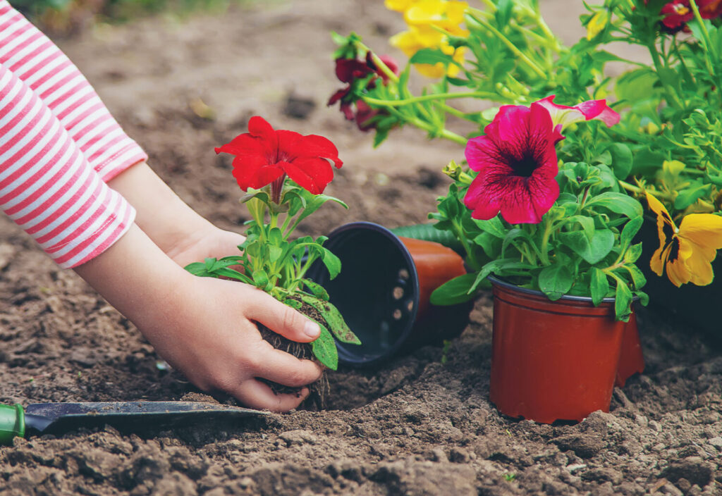 Forty Under 40 Perspectives: Lessons that stick from classroom to garden