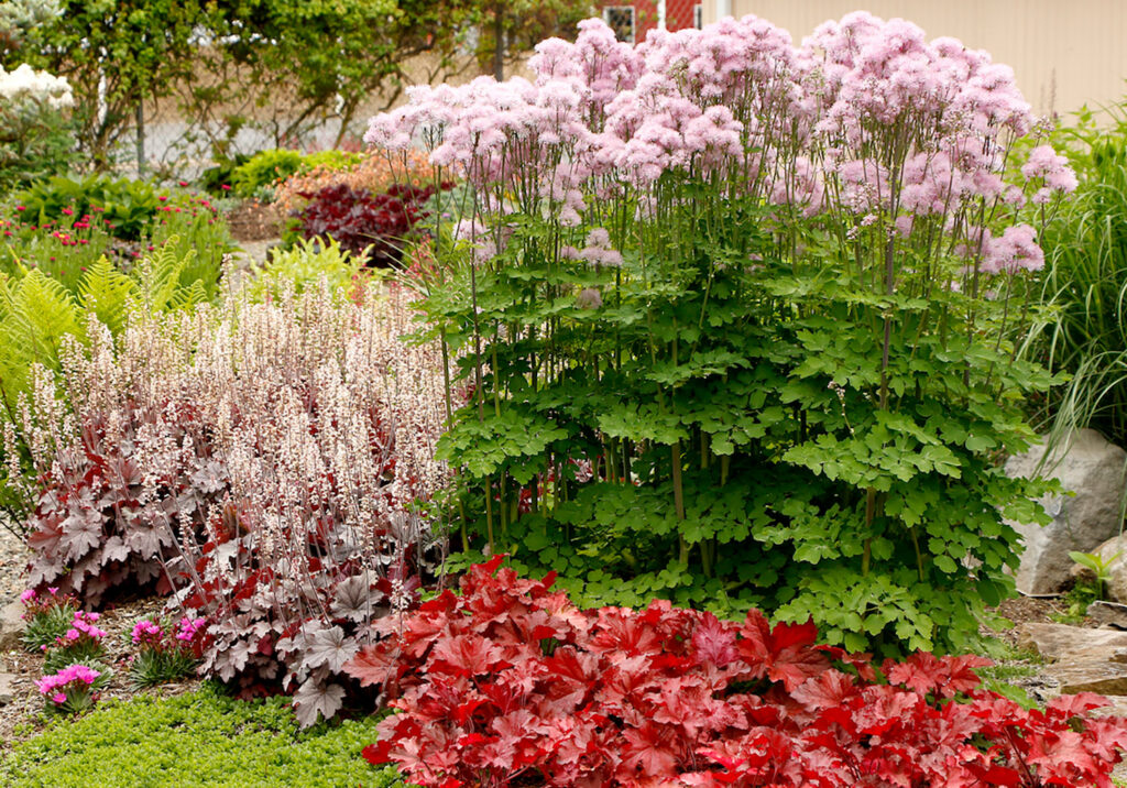 Terra Nova Varieties Receive Honors at PSU