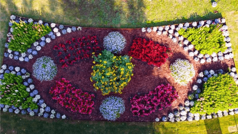 Syngenta Flowers wins award for show garden at Shanghai International Flowers Show