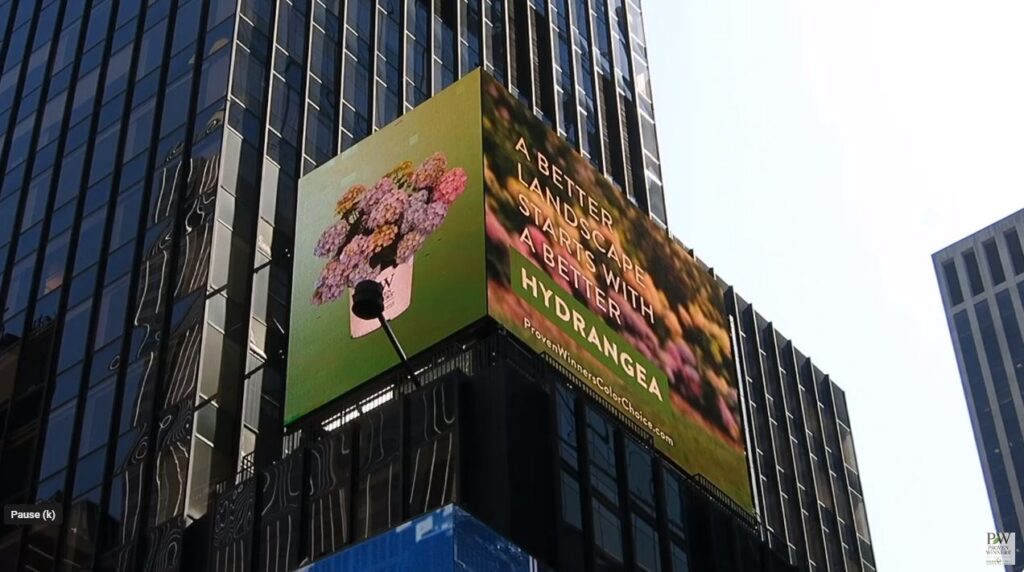 Who’s lighting up Times Square?