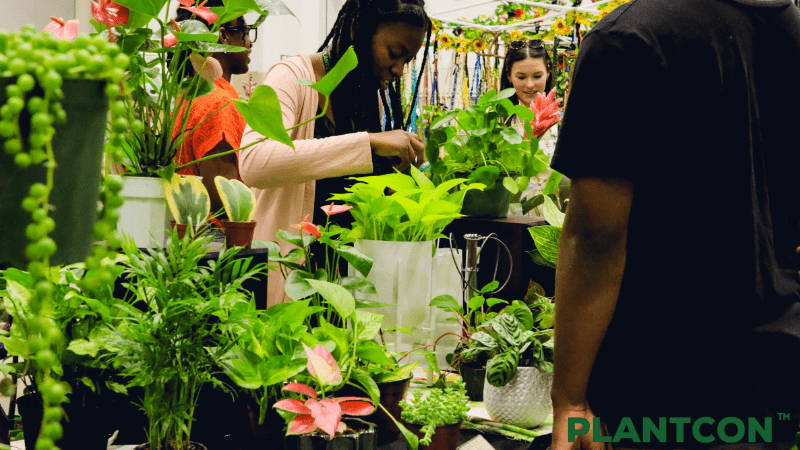 PlantCon International recap