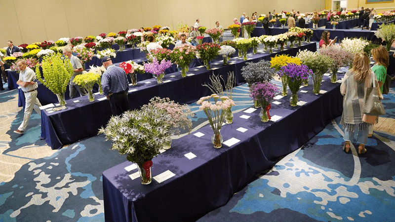 SAF adds breeder category to Outstanding Varieties Competition