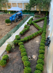 White House boxwood Rose Garden