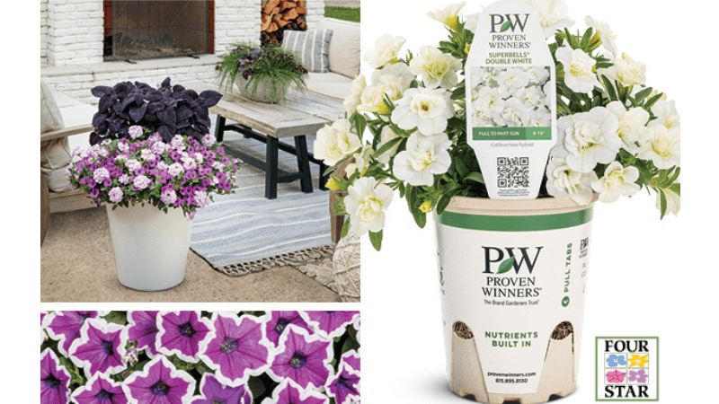 Four Star Greenhouse’s 2024 Plants & Programs guide now available