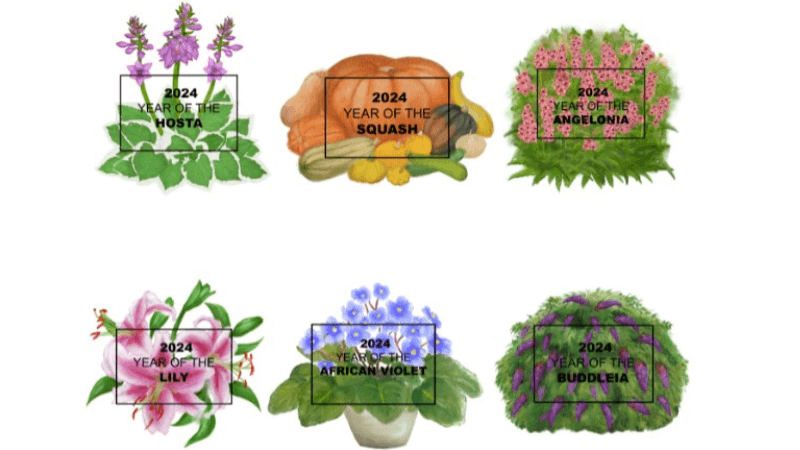 NGB announces featured crops for 2024 “Year of the” program