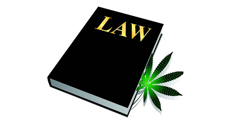 Patent Cannabis, and Trademark, Too