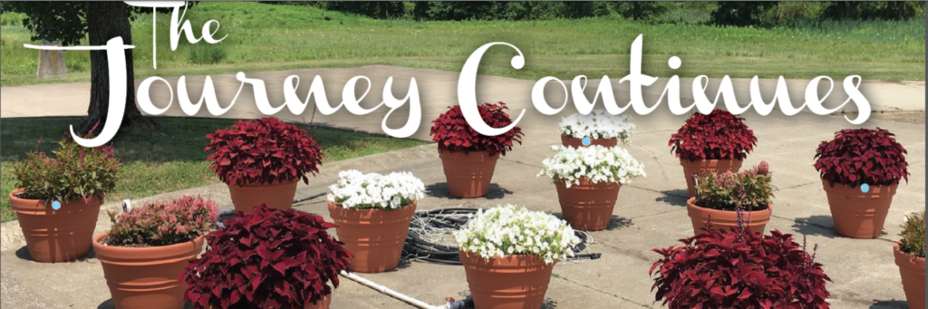 Management — The Journey Continues