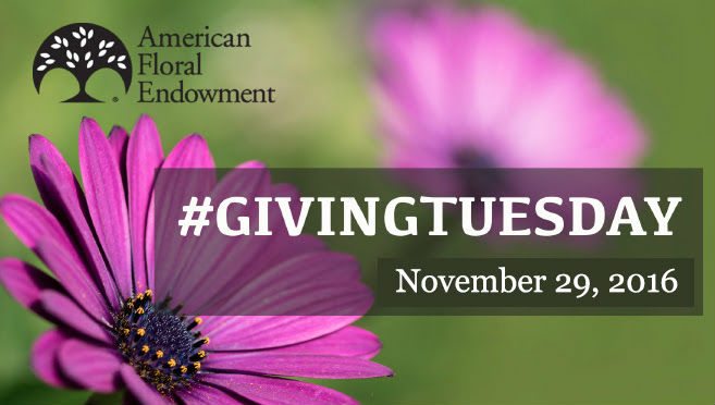 AFE to Introduce ‘Give Flowers on Giving Tuesday’