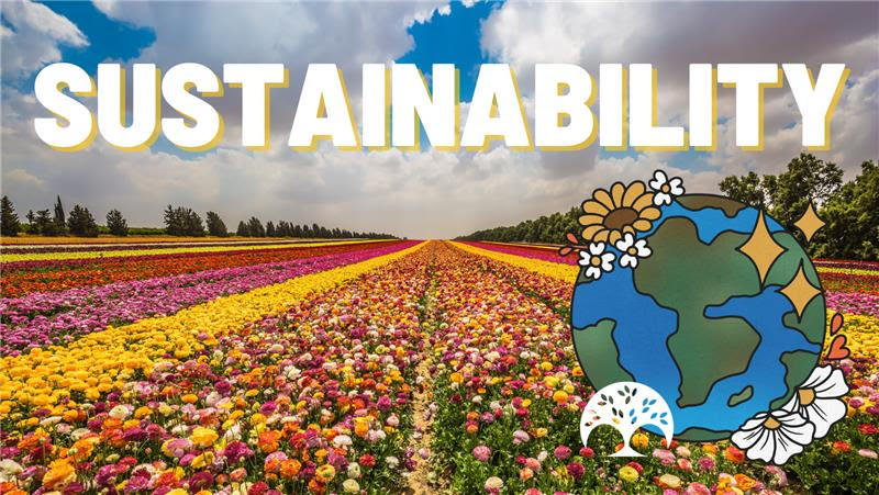 AFE Launches New Sustainability Initiative