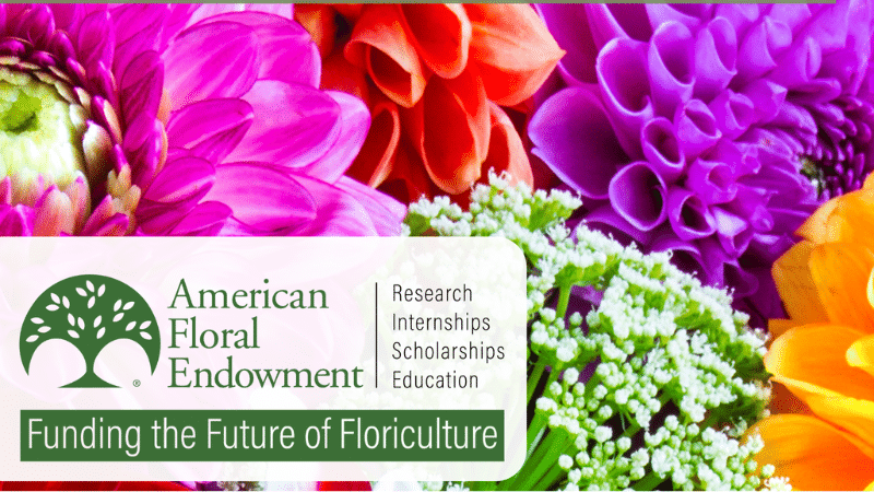 Art Van Wingerden named as AFE chairman elect