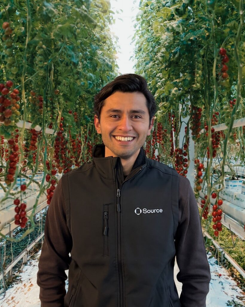 Smiling man in a greenhouse with tomatoes growing in the background