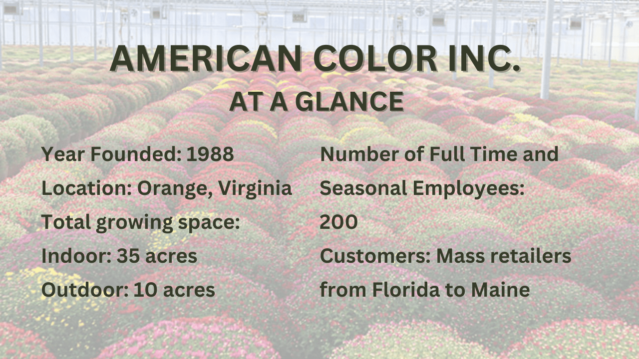 American Color Inc.