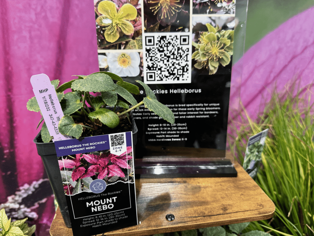 15 Retailers’ Choice Awards named at Cultivate’24