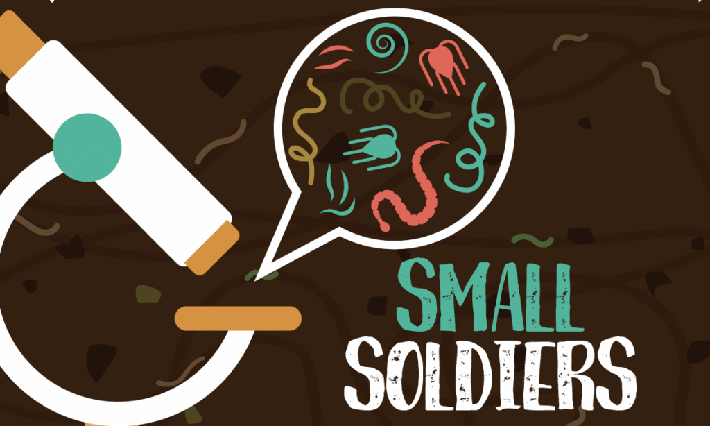 How to Use Beneficial Nematodes in IPM