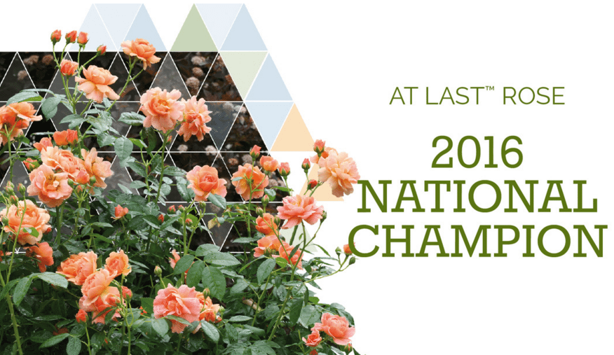 Shrub Madness Crowns National Champion