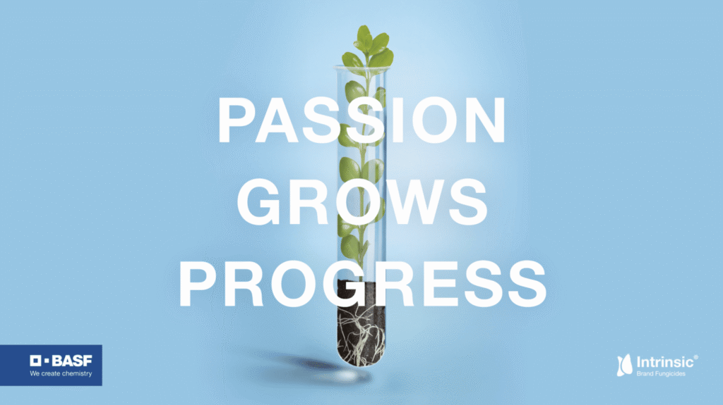 Intrinsic® Brand Fungicide
