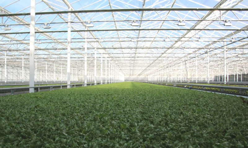 High Tech Growing Systems Help Improve Efficiencies, Meet Consumer Demand