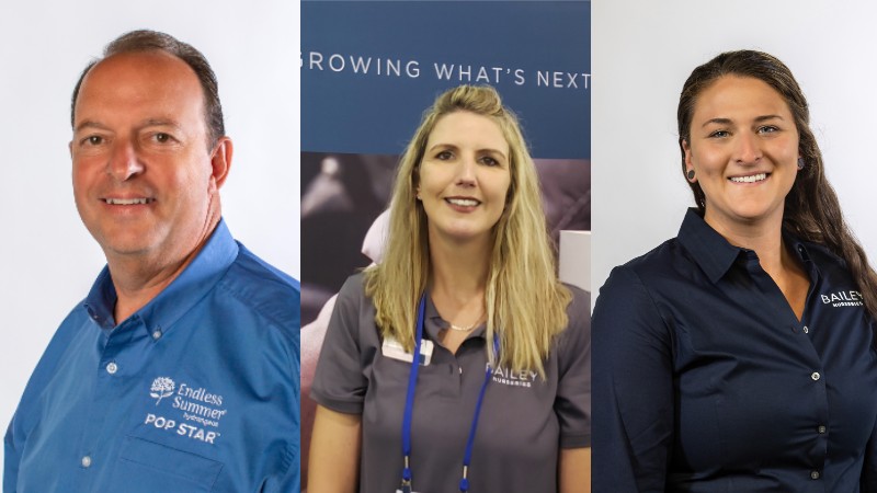 Bailey Adds to Sales Team