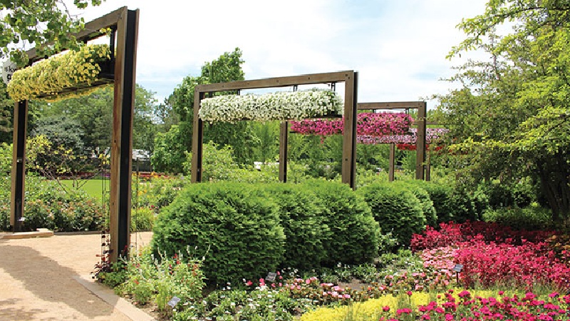 From Seed Coatings to Cut Flowers