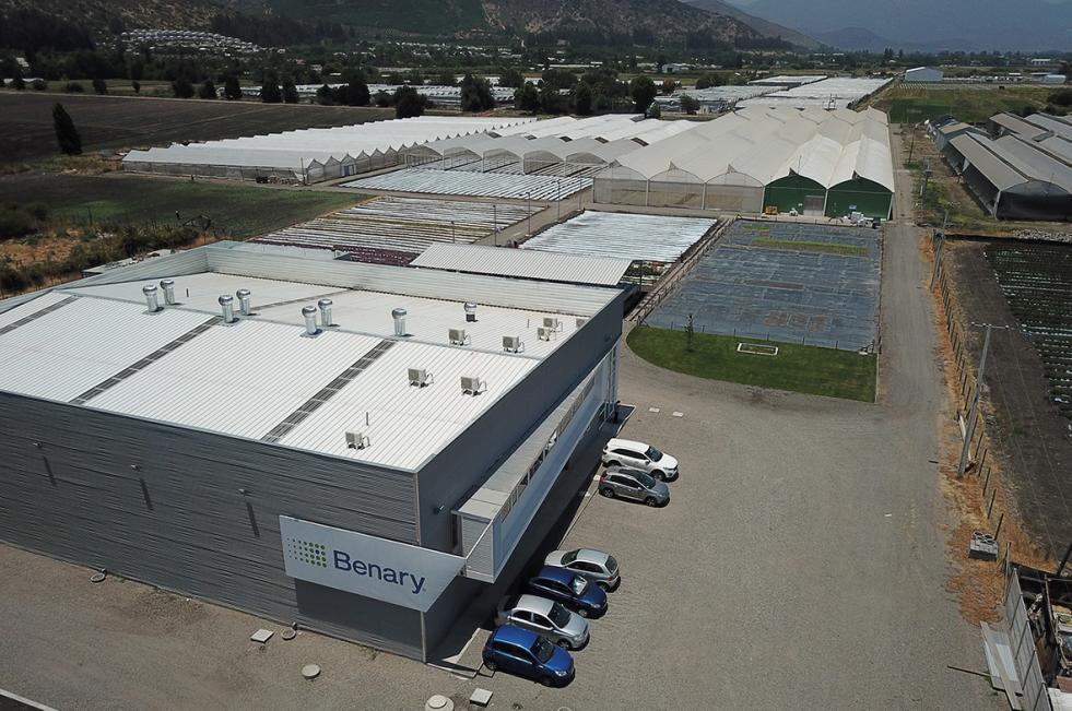 Benary Opens New Production Facility in Chile