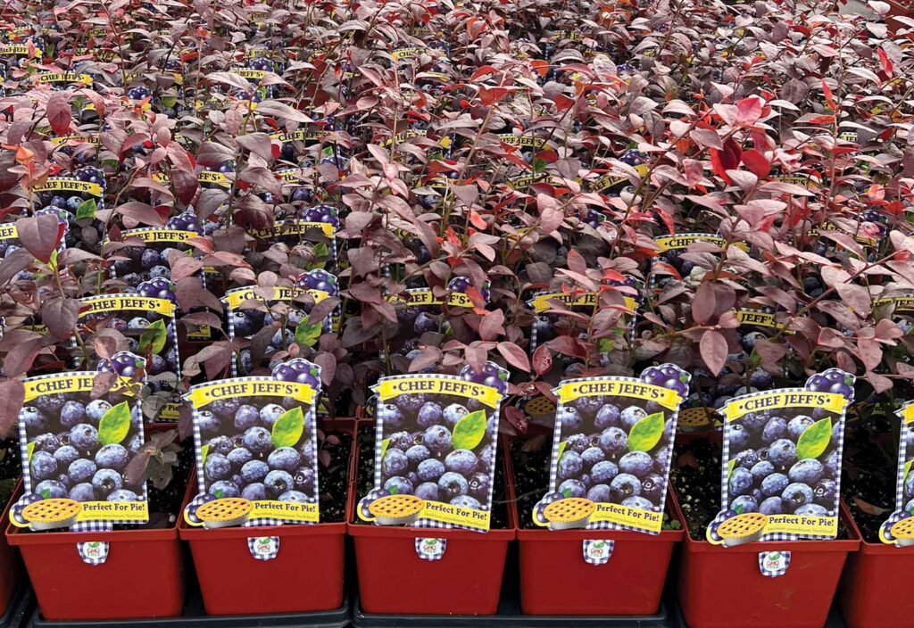 Grower Success Stories: Planting roots at Centerton Nursery