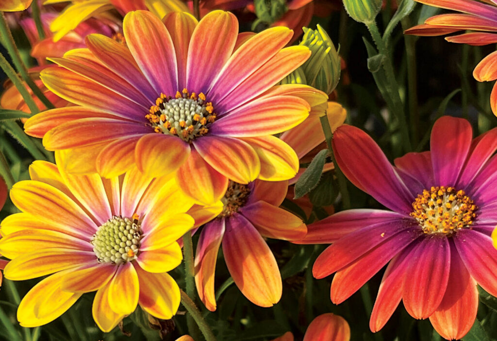 Trends that are all about that vase