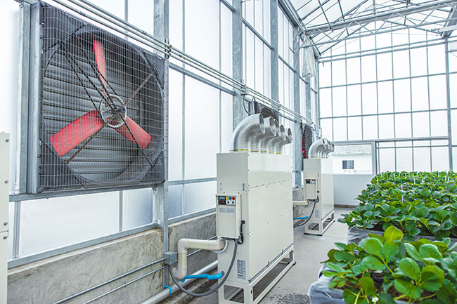 Controlling greenhouse temperature for successful production