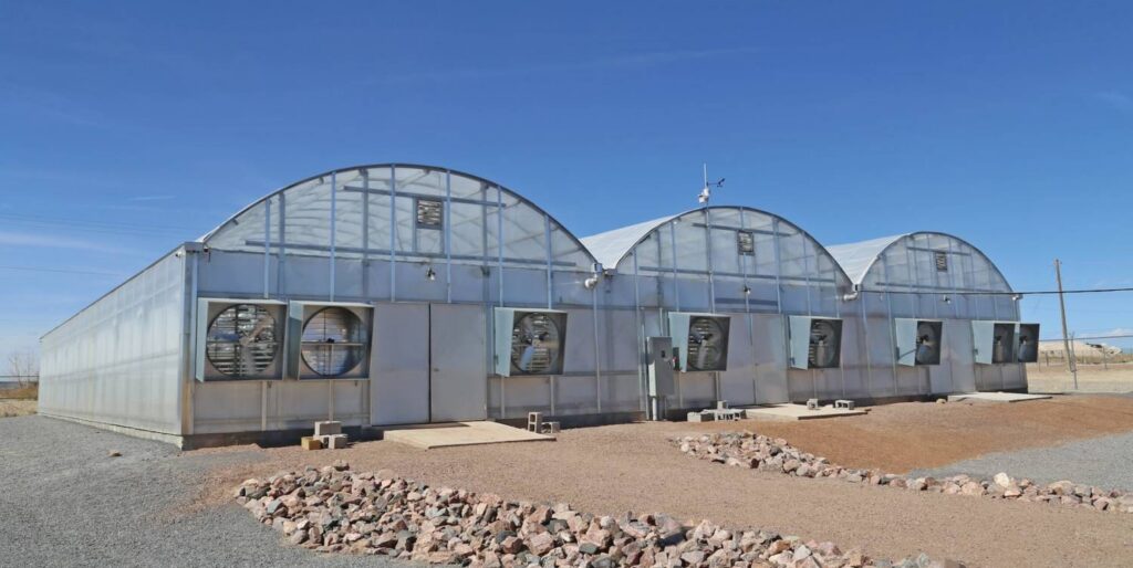 Greenhouse Consultation: The New Normal