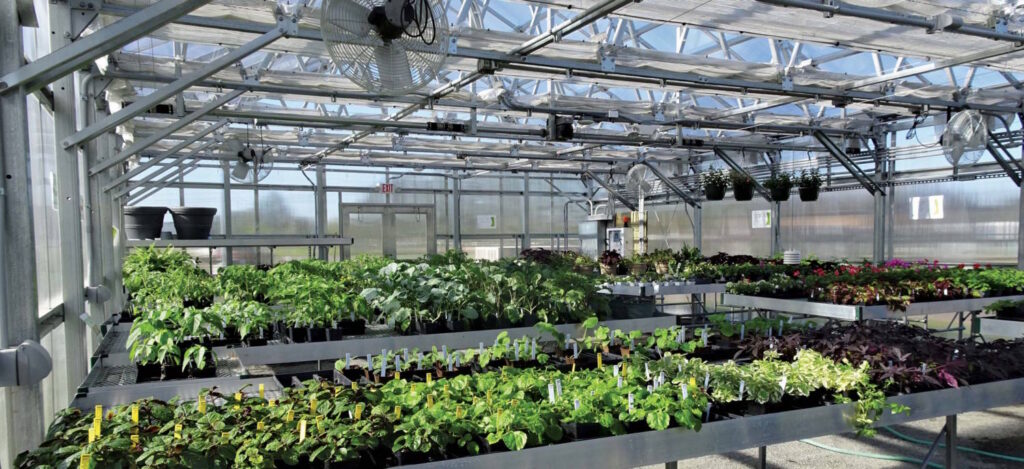 Gearing Up a Greenhouse for Summer