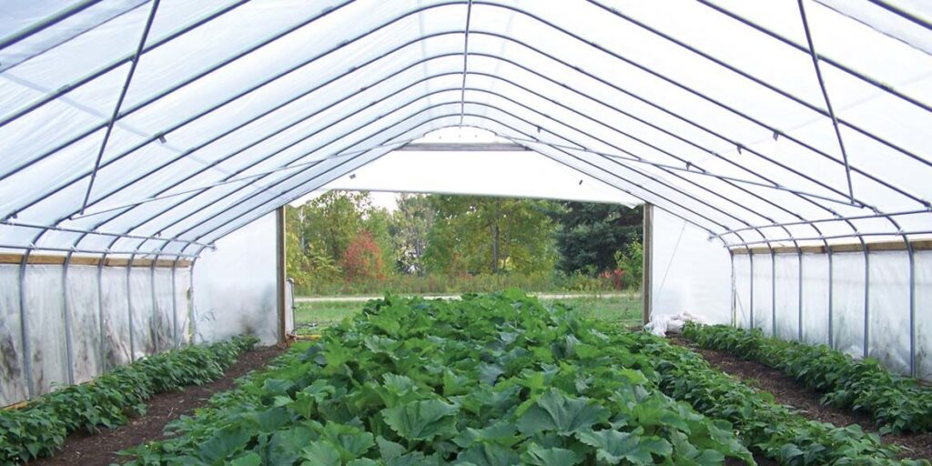 Greenhouse Cladding 101