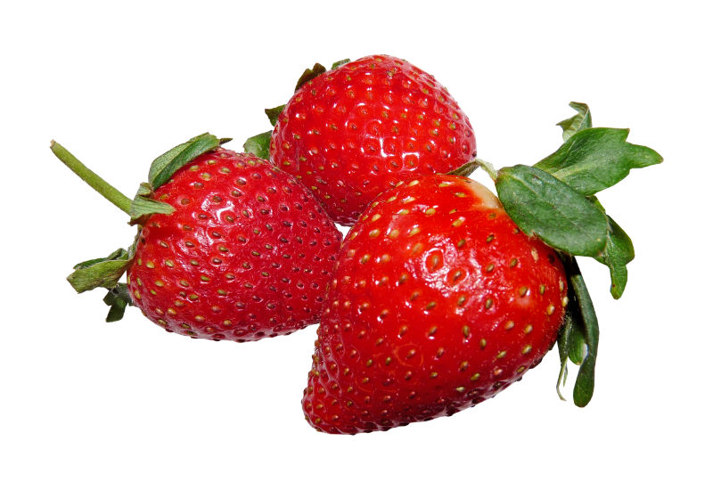 Solar-powered indoor vertical strawberry farm opens