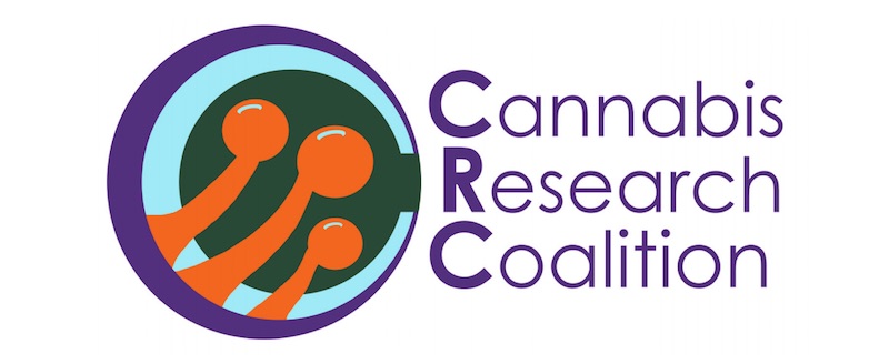 Cannabis Research Coalition Debuts in January
