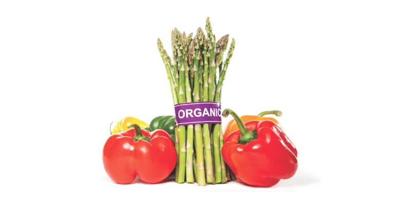 Becoming Certified Organic — It’s Not as Hard as You Think