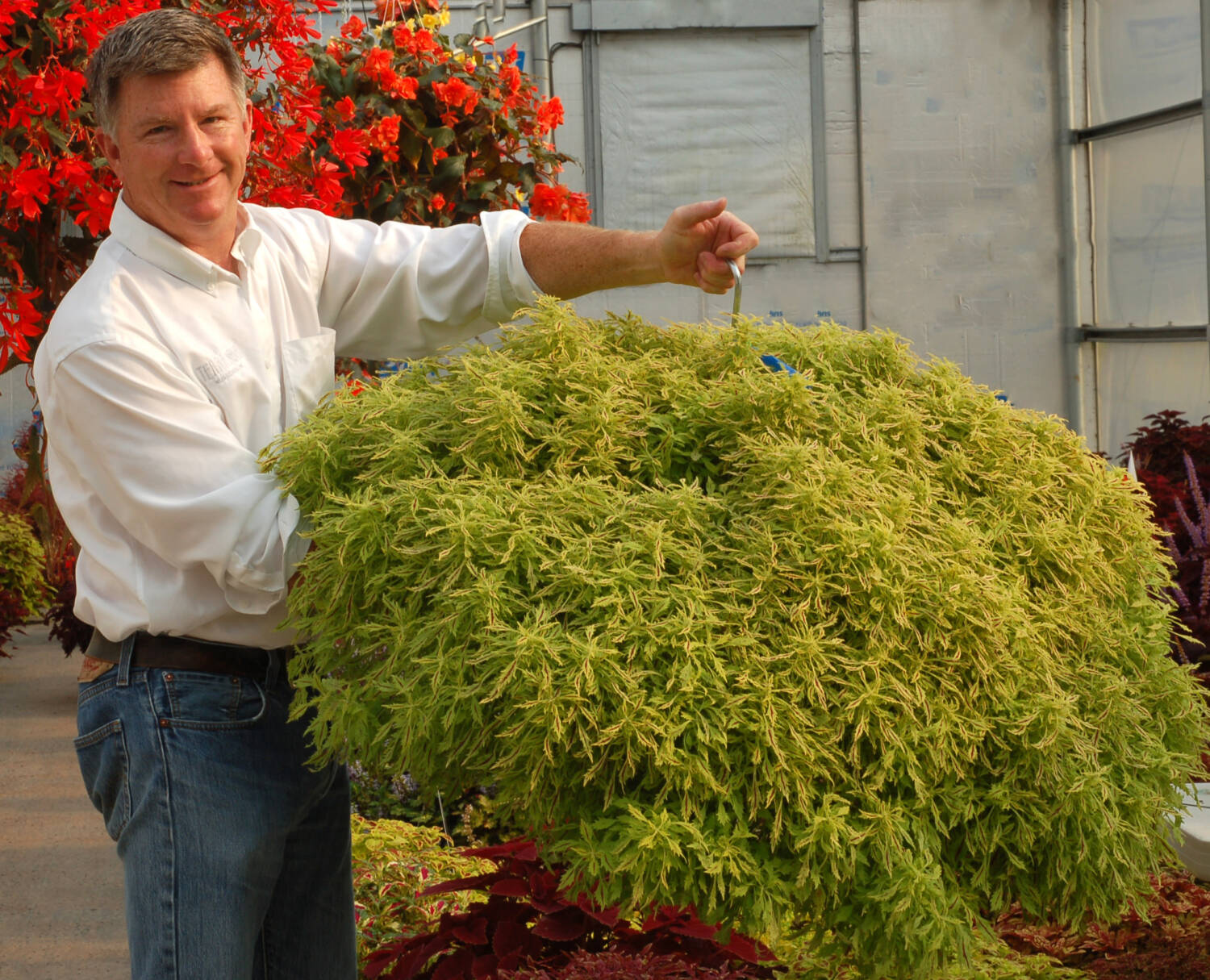 Chuck Pavlich, director of new product development at TerraNova Nurseries, poses with a large hanging pot of coleus. Photo courtesy of Terra Nova Nurseries.