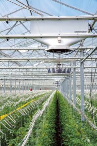 Vertical airflow system in a glass greenhouse