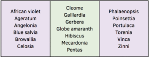 Table 1. Examples of cold-sensitive floriculture crops, which are those with a base temperature of at least 46° F.