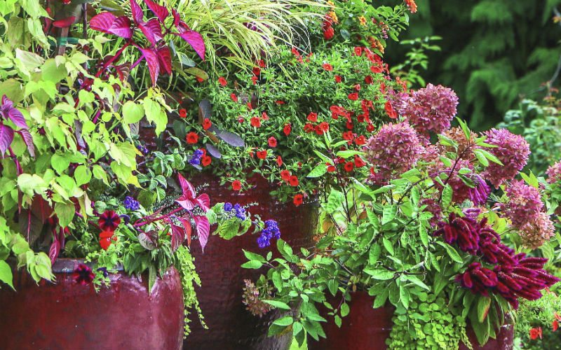 Maximizing Container Sales at Retail