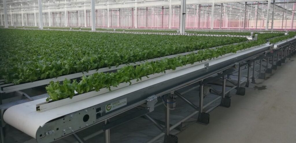 Green Automation Introduces New Hydroponic System