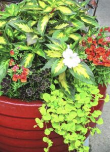 copy-of-june-2012-containers-029