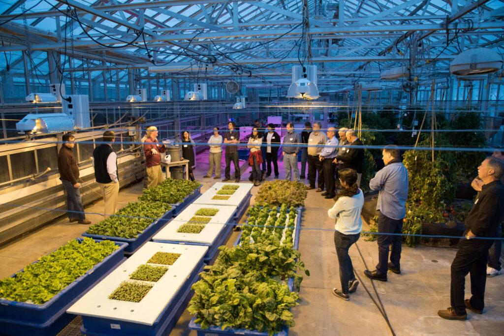 From Family Farm to Controlled Environment Agriculture: Integrating Plant Science and Technology