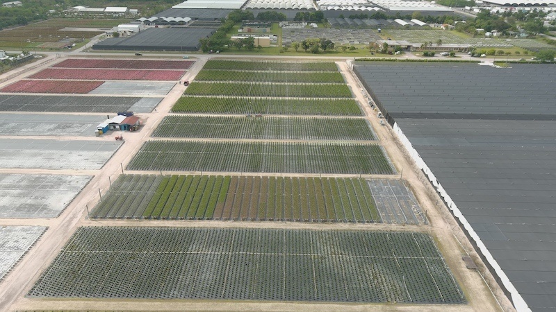 Cover Story — Primed for a Consumer Brand