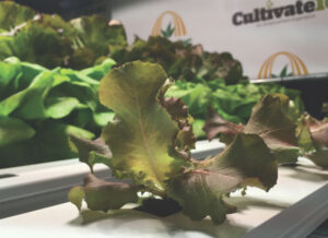 Crop King displayed its hydroponic products.