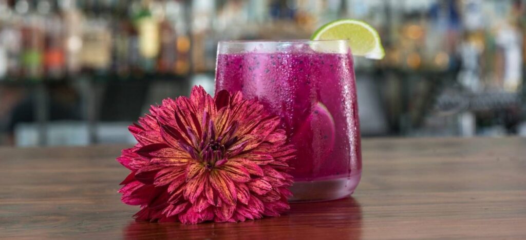 PlantHaven to Offer Spring Trials Attendees Cocktails and Culture