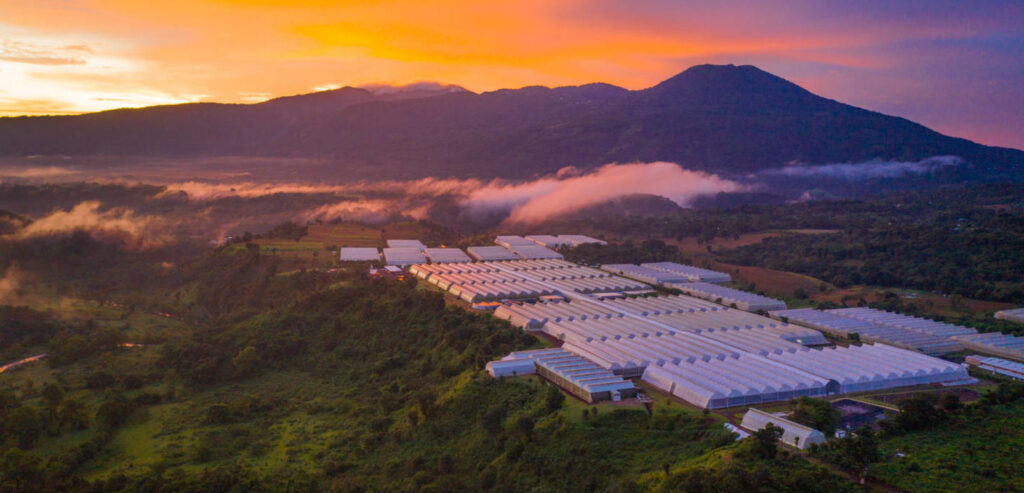 Passion for Improving Supply