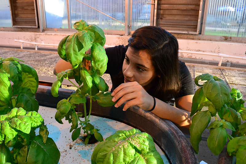 An Appetite to Grow On — Keirstan Kure 2016