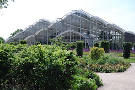 Researchers’ Paper Receives ASHS Award