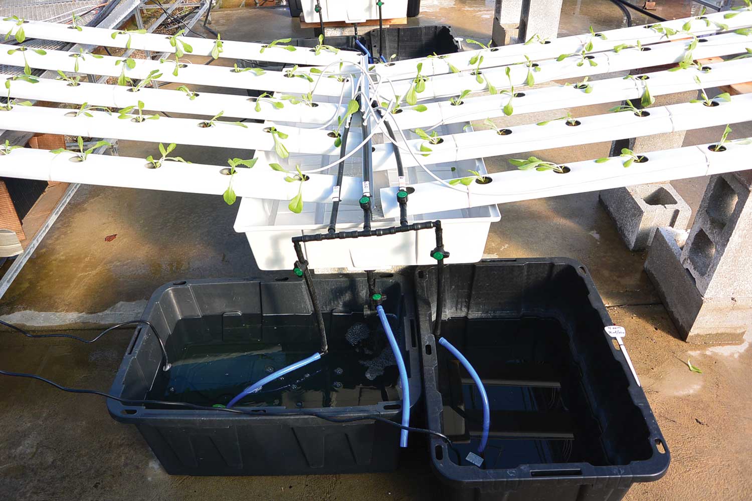 hydroponic system for greenhouse use