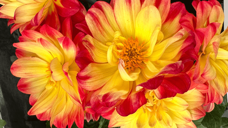 Editor’s Letter: Labor updates